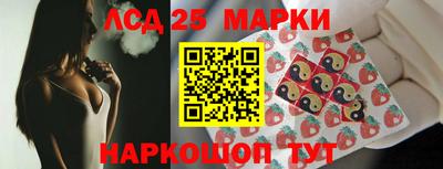 гашик Шелехов