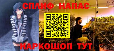 амф Ярославль